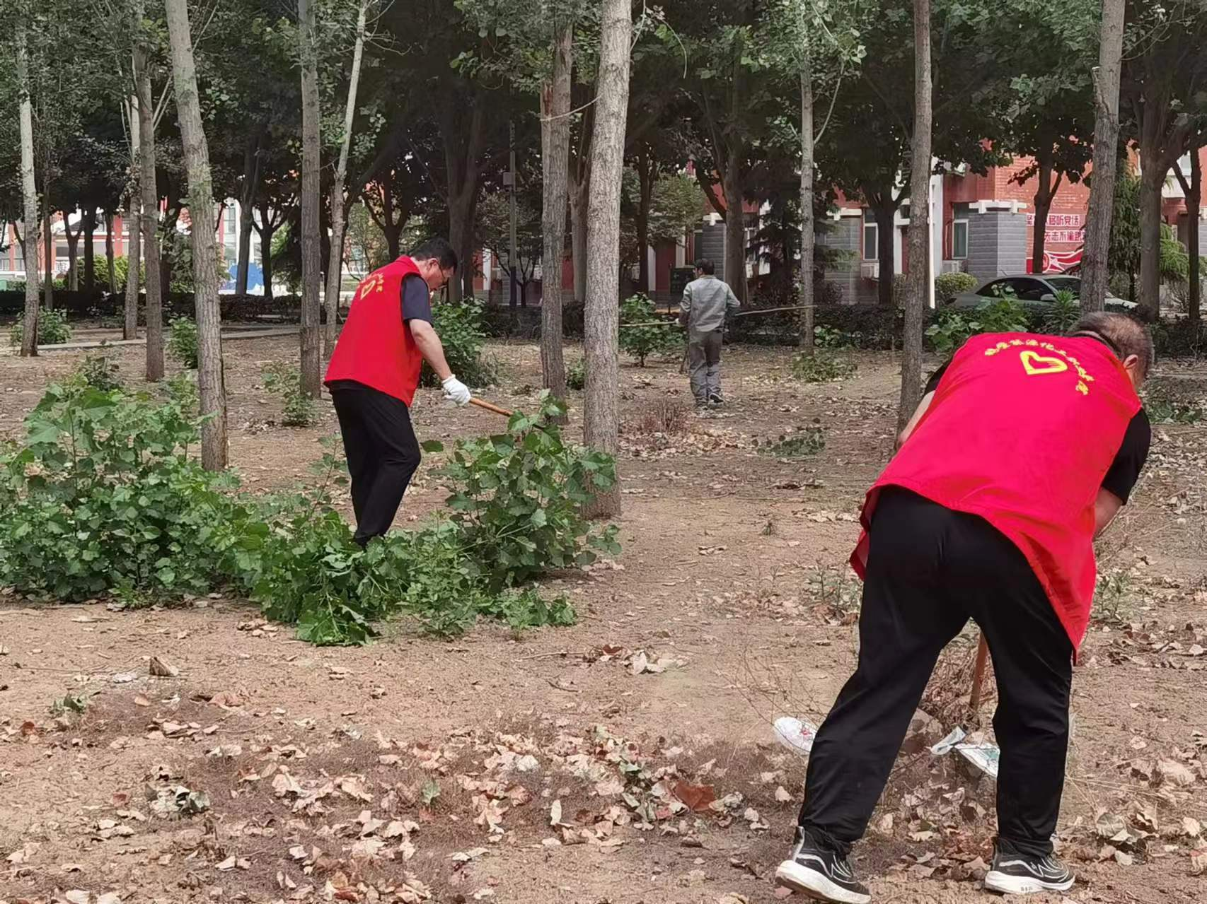 图片3.png